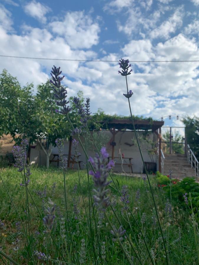 Goekceada Ugurlu Apart Buitenkant foto