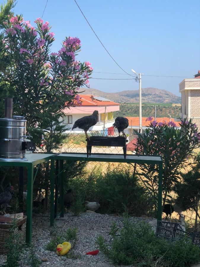 Goekceada Ugurlu Apart Buitenkant foto